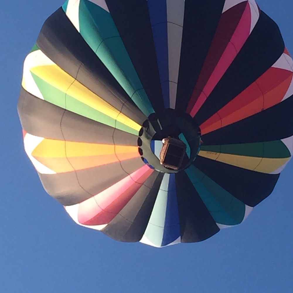 Meet your Posher, Delilah